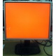 Монитор 19" TFT HP 1955 (DVI в Рязани, USB-хаб) "квадратный" (Рязань)