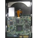Электроника жёсткого диска 146Gb HP 481653-002 DF146BAFDU (Рязань)