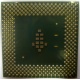 Процессор Intel Celeron 1000A SL5ZF (1000MHz /256kb /100MHz /1.475 V) s370 (Рязань)