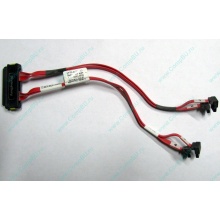 SATA-кабель для корзины HDD HP 451782-001 459190-001 для HP ML310 G5 (Рязань)