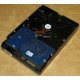 Электроника HDD 500Gb Hitachi HDS721050DLE630 (Рязань)