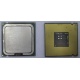 Процессор Intel Celeron D 336 (2.8GHz /256kb /533MHz) SL98W s.775 (Рязань)