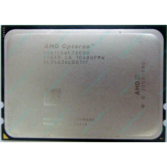 AMD Opteron 6128 OS6128WKT8EGO (Рязань)